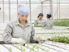 Breakthrough technology to 'position' Vietnamese agricultural products