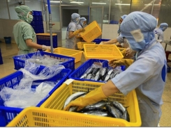 Prospects bright for seafood exports to ASEAN