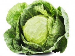 Choosing the right cabbage variety