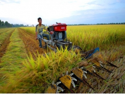Mekong Delta farmers urged to mobilize sci-tech