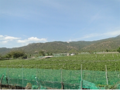 Belgian partner helps Việt Nam develop green-growth strategy