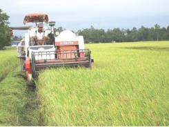 Agricultural production poses environmental risk: expert
