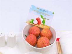 Luc Ngan lychees to be served on Vietnam Airlines’ flights