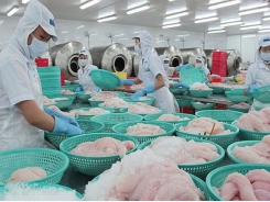 Vietnam’s pangasius conquered many major Chinese cities