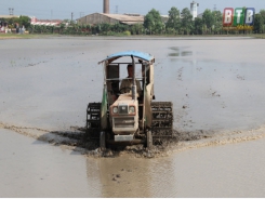 Bước vào gieo cấy lúa mùa trà sớm