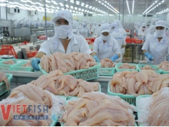 Lengthy process of Vietnamese pangasius penetrating Japanese market