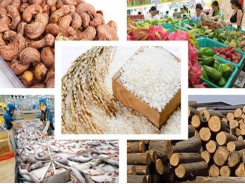 Agricultural exports fetch nearly US$20 billion