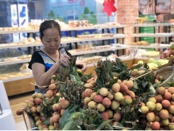Saigon Co.op takes northern lychees around the country