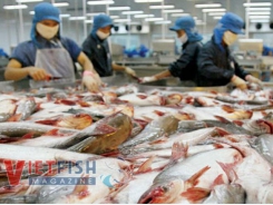 Vietnam and Norway boost seafood consumption and enhance quality