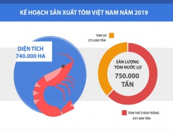 Bàn chuyện giảm giá thành nuôi tôm