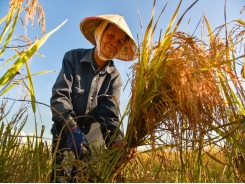 US agriculture firm eyes hi-tech expansion in Vietnam