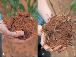 Pursuing soil health precisely