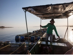 Tăng hỗ trợ tín dụng và giá tham chiếu thủy hải sản tại Brazil