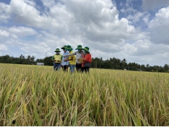 Farmers were overjoyed at the results of “smart farming”