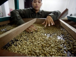 Vietnam Jan-April coffee exports likely up 4.5% y/y: statistics office