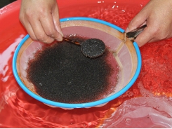 Thử nghiệm hệ thống trại nuôi tôm thâm canh bằng công nghệ biofloc