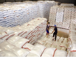 PM allows rice export resumption from May 1