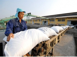 Philippine pivot does not impact on Vietnamese rice export