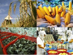 Golden opportunity for VN farm produce to regain home market