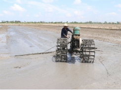Đồng Tháp improves irrigation works to water summer – autumn rice
