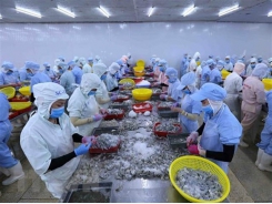 Vietnam’s shrimp exports forecast to reach 3.8 billion USD in 2020