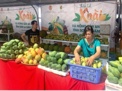 Sơn La exports mangoes to China