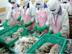 Vietnamese shrimp has opportunities of exports after covid-19 is contained