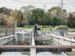 Technology allowing aquaculture to do social distancing