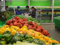 Fruit, vegetable exports up 7.9 percent in April