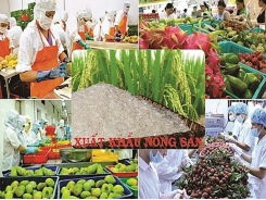 Export agricultural products reach US$2.8 billion in four months