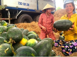 Farmers in central provinces enjoy bumper crops, high prices