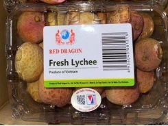 Singaporean consumers taste Vietnamese lychees