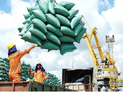 Vietnam likely to rank third in global rice exports in 2022