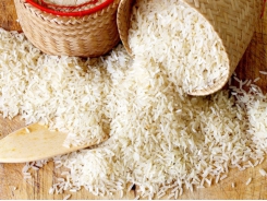 Vietnamese rice accounts for 84% of Philippine rice imports