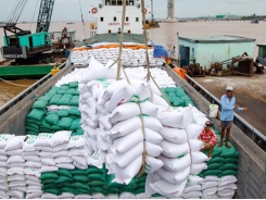 Vietnamese rice exports enjoy second quarter boost