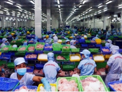 Fisheries sector sets sights on US$16 bln export target by 2030