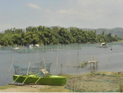 The app that's helping a new generation of Filipino fish and shrimp farmers