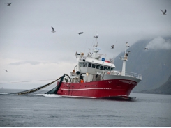 Liệu ngành nuôi trồng thủy sản có thể thực sự giảm bớt áp lực đánh bắt thủy sản hay không?