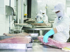 The export of seafood changed because of the Covid-19 pandemic