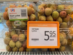 Vietnamese lychees increase presence in Singapore