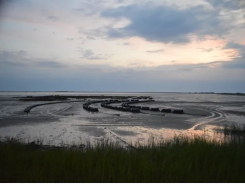 Đột phá về nước thải có thể thúc đẩy sự bùng nổ nuôi trồng thủy sản ở Bắc Carolina