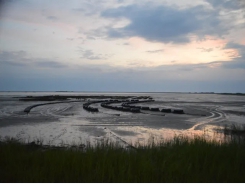 Wastewater breakthrough could fuel North Carolina aquaculture boom