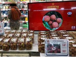 Vietnamese lychees with origin tracing stamp hit shelves in France