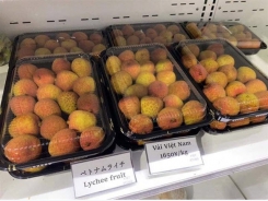 Bac Giang lychees promoted at 