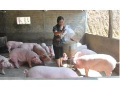 Ðưa Sản Phẩm Sạch Bệnh Ra Thị Trường