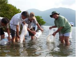 Đầm Nha Phu Đang Suy Kiệt