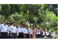 Đẩy Mạnh Sản Xuất, Tiêu Thụ Nhãn Chín Muộn