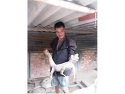 Tìm Hướng Đi Từ Những Vật Nuôi Lạ
