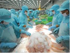 Doanh Nghiệp Khó Khăn Vì Nhân Lực Yếu