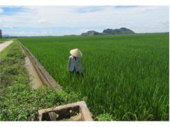 Chuyển Đổi Ruộng Đất Ở Xã Vĩnh Quang